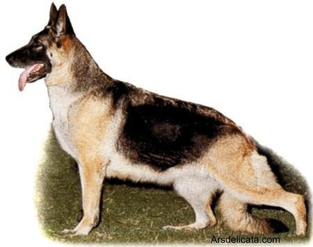 SEL CH (US) Wellspring Mayflower