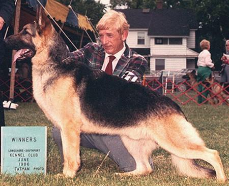 CH (A/C) Alkarah's Michelob