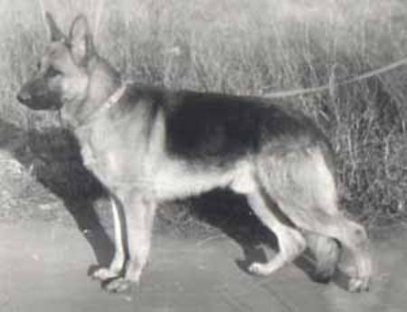 Opus von der Noriswand