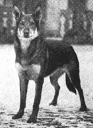 CH (US) Fels vom Gesundbrunnen