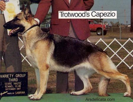 CH (US) Trotwood's Capezio