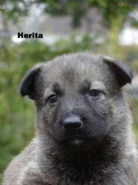 Herita von Metunaj