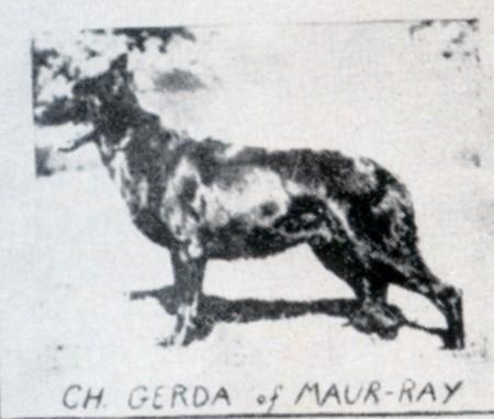CH (US) Gerda of Maur-Ray