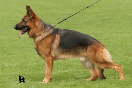 Mario vom Starkenburg - Blick