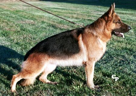 V Art della torre dei vescovi