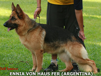 Ennia Von Haus Fer