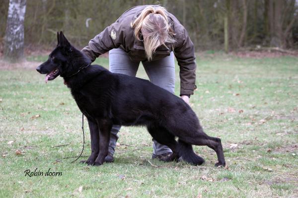 XENA (van Ronald Tienkamp) ZW 77