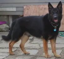 Brady Von Barren Berg