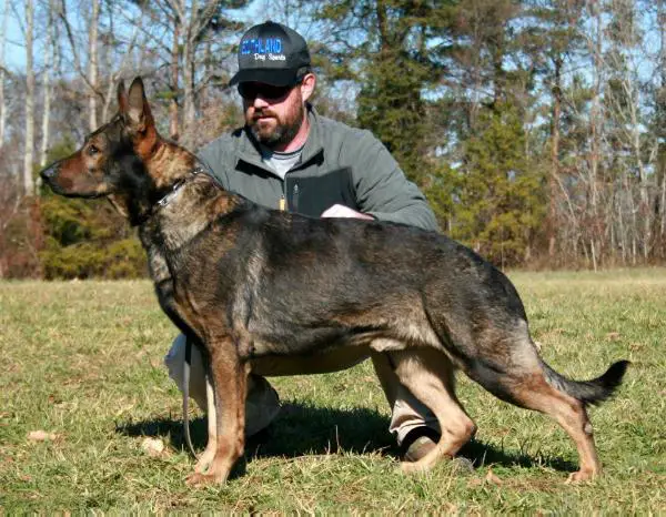 Knox from the Southland