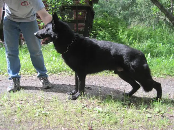 Sorry vom Struwwelpeter