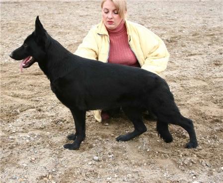 SG Barakuda Last Hathy