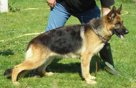 V Wendy di Turboland