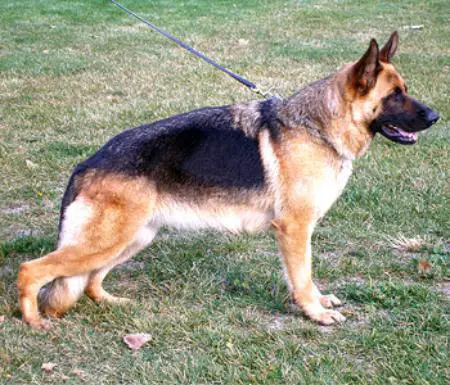 Grecia von der Lizzie