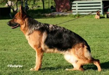 V Telbe Di Casa Beggiato