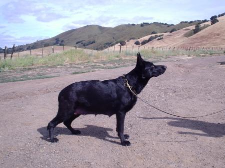 Endy vom Stoffelblick