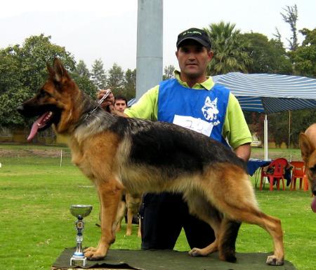 SG 1 (CHILE) Iana Von Alt Chicureo