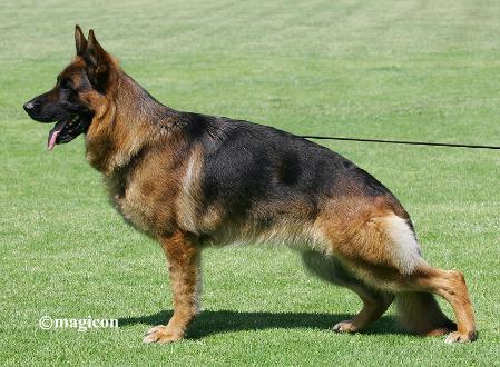 V1(GR) V5(CH) Vias Von Batu