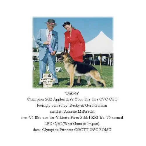 (CAN) CH Appleridge's Your The One