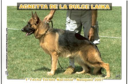 V-11 SIEGER ARG.2009 Agnetta De La Dulce Laika