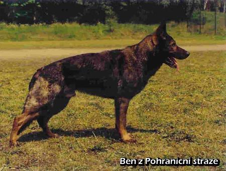 SG Ben z Pohranicni straze