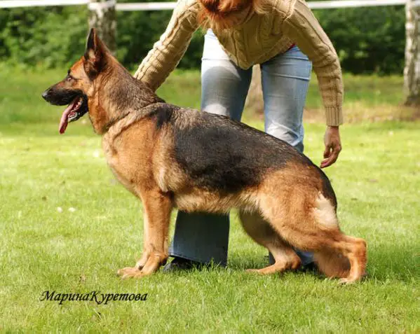 VA(RUS) Zilber Wasserfall Lavina (2005)