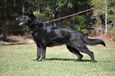 Uma vom haus Baysden