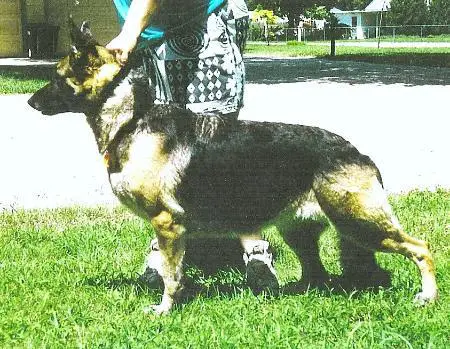 Noblecroft's Leading Lady