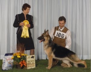 CH Jerrwen's Lucky Charms