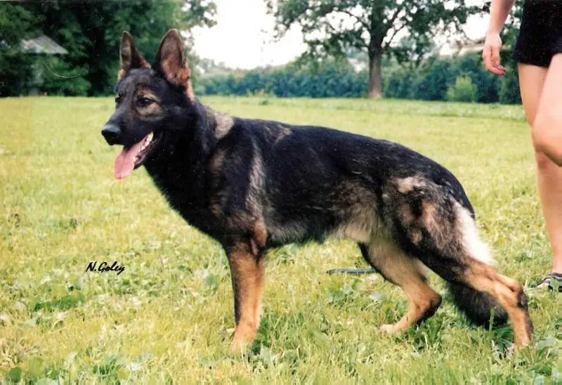 VA, NCHK, CH. RUSSIA a-Zahar s Krasnyh Prudov