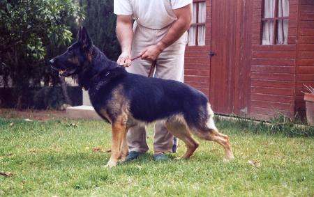 Hero von der Röderburg