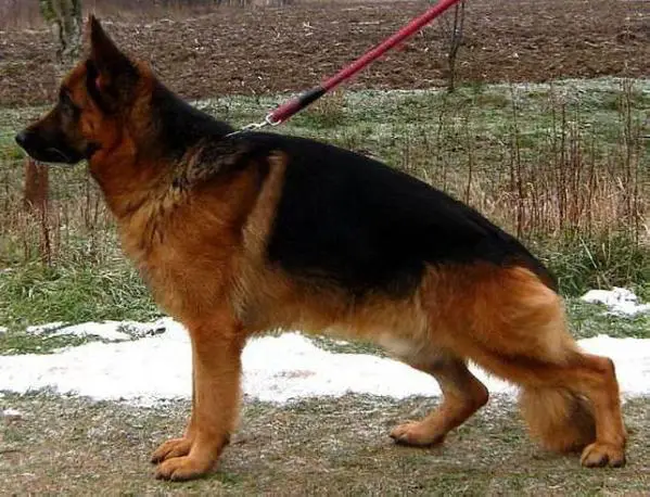 SG, CH SERBIA Falvavölgyi Atlas