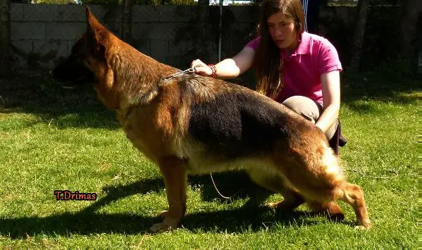 V Astrid I de Turia Drimas