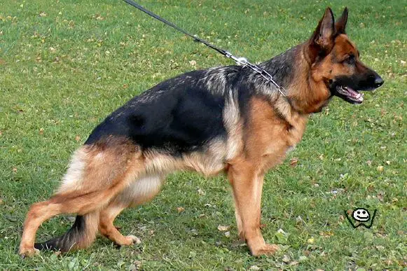 V, RES. CAC, Evanesence Mo-Vake