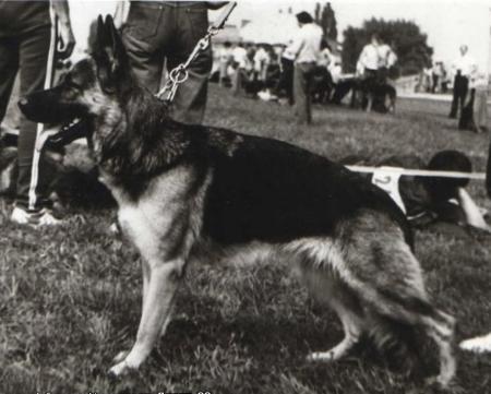 Jenny vom blauen Modeneser