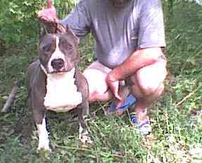 Tankay Vom Sebastian Wolf