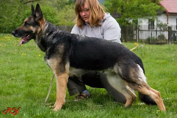 G Baika von der Riesling Route