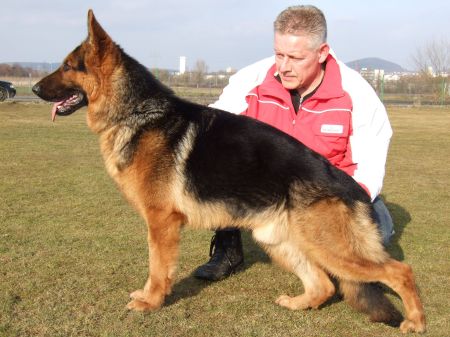 VA-SIEGER VN Ulano von Modithor