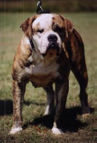 BTK's Mercedes on the Roll