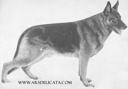 US.CH. Cuno von der Teufelslache