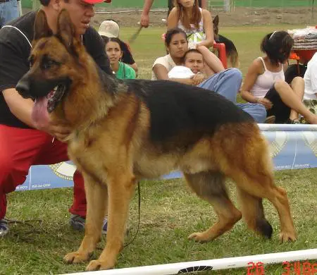 Coby Muñoz