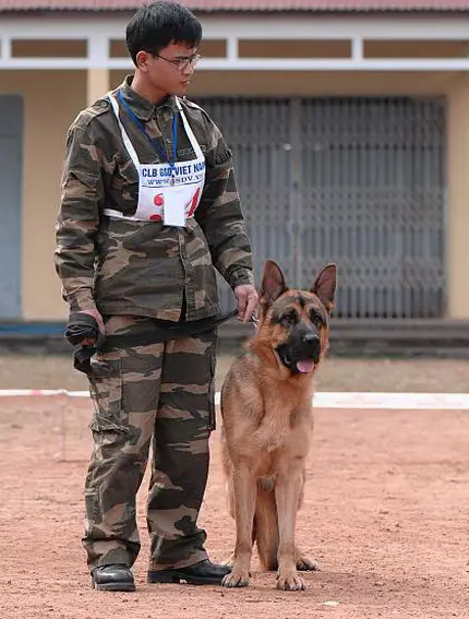 SG2 VIETNAM Kimon vom Naisshof