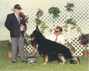 CH (US) Hurizon's Sharpshooter