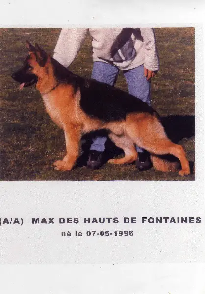 SG1 (FR) Max des Hauts de Fontaines