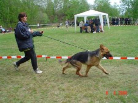 V Dixi z Kmene Ceroky