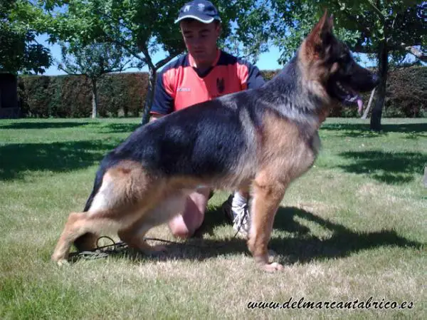 Xiro Del Mar Cantabrico