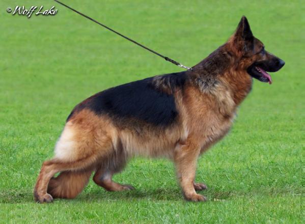 TOGA Biesalskie Wzgórza