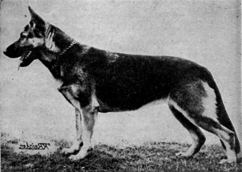 V Lona zu den Sieben-Faulen