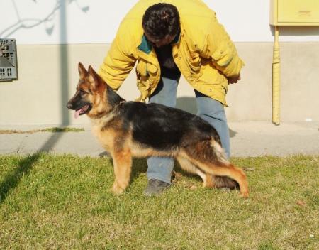 SG Zara von Mata haus