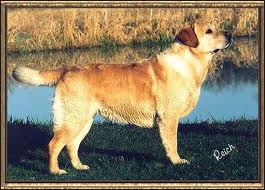 Lor-Al's Direct Deposit