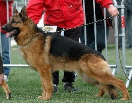 Urs des jardins du peyrou